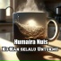 Humaira Nuis
