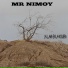MR NIMOY