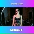 SENRGY