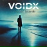 VOID X