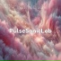 PulseSonicLab