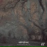 Moonsum, Lakeside Collective
