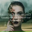 Celestial Aeon Project