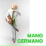 Mano Germano feat. Leander Motta, Vavá Afiouni