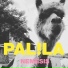 Palila