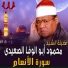 Al Sheikh Mahmoud Abo Al Wafa Al Seidy