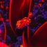 Fatesky