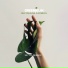 Greenjelin feat. Paulina Cameron