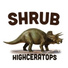 Shrub feat. Dubmatix