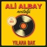 Ali Albay