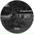 Narx, Elaine Boshoff