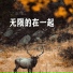 出千山