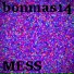 bonmas14