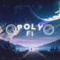 Poly Fi