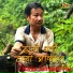 Harka Sampang Rai