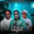 Tommy Picy, Runtown, Slimboo