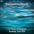 Sleeping Music, Relaxing Music, Yoga