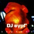 DJ Groove