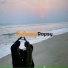 Rapsy