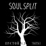 SOULSPLIT