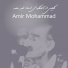 Amir Mohammad