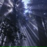 Phantaszz, PHONKMESSIAH, HXRIZXN