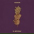 DJ BRONIX