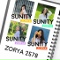 Sunity