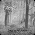 Strange forest