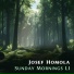 Josef Homola
