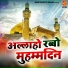 Sibtain Raza
