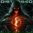 Disrurbed