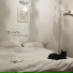 Squabble, Roomy