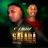 DJ DAVY FELIPE, Mc VT, Mc Negralha