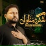 Syed Raza Abbas Zaidi