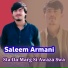 Saleem armani