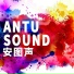 安图声乐队
