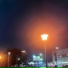 ALXNEE