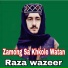 Raza wazeer