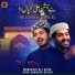 Mubashir Ali Saim, Ayub Shahzad Sialvi