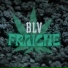 BLV