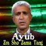 Ayub