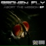 Broken Fly