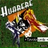 Huarere