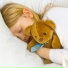 The Sleepy Sounds