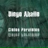 Diego Aballe