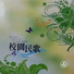 怡菁