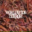 worldwideterror