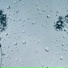李九君