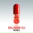 Selivan DJ